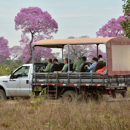 Southwild Pantanal Lodge Pixaim Esterno foto
