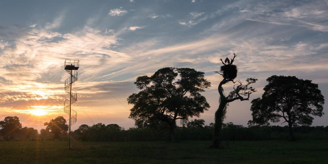 Southwild Pantanal Lodge Pixaim Esterno foto