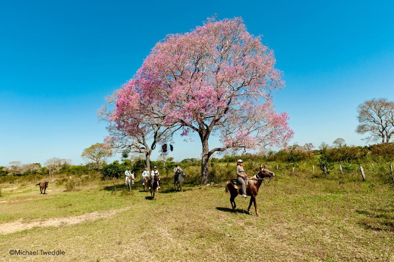 Southwild Pantanal Lodge Pixaim Esterno foto