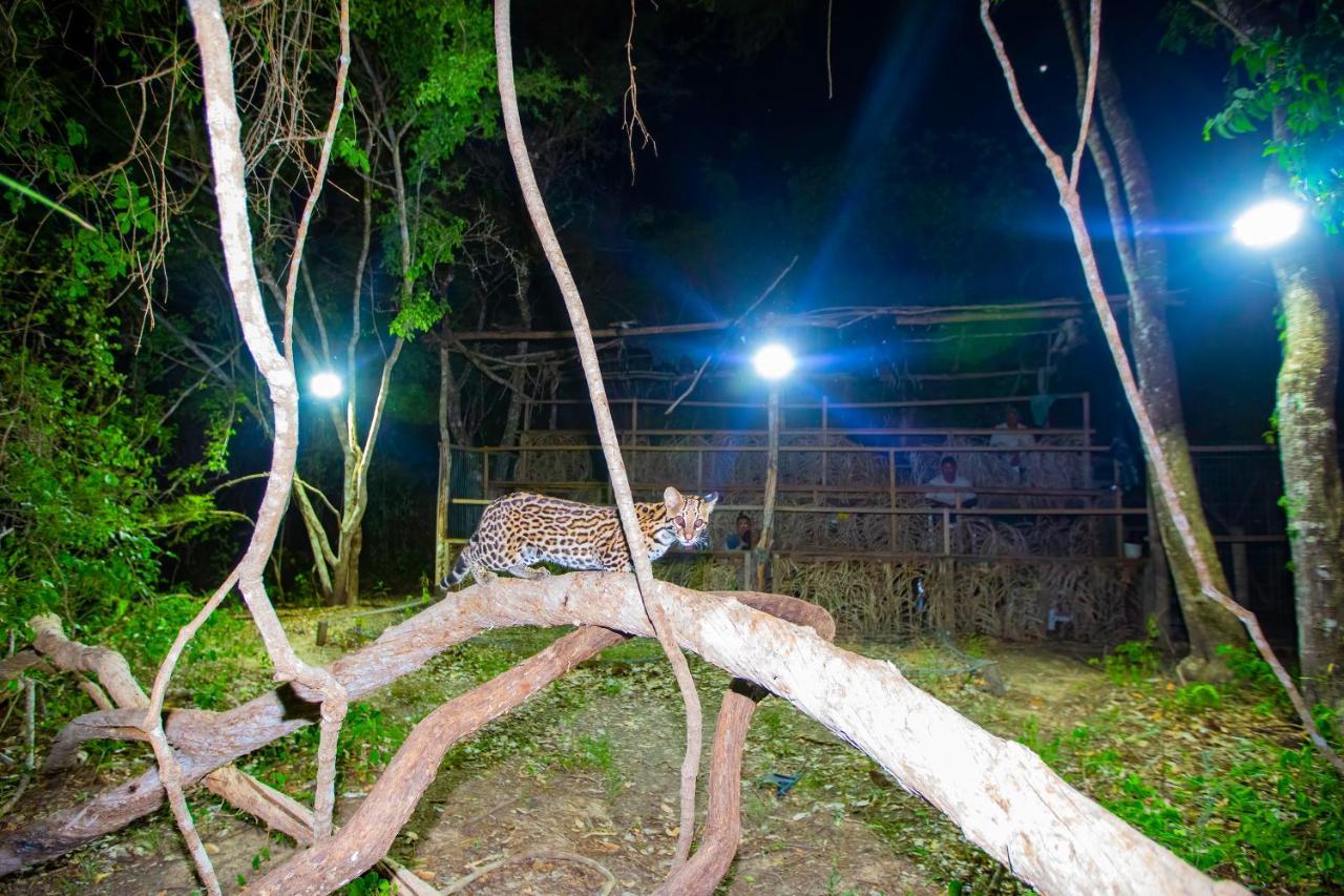 Southwild Pantanal Lodge Pixaim Esterno foto