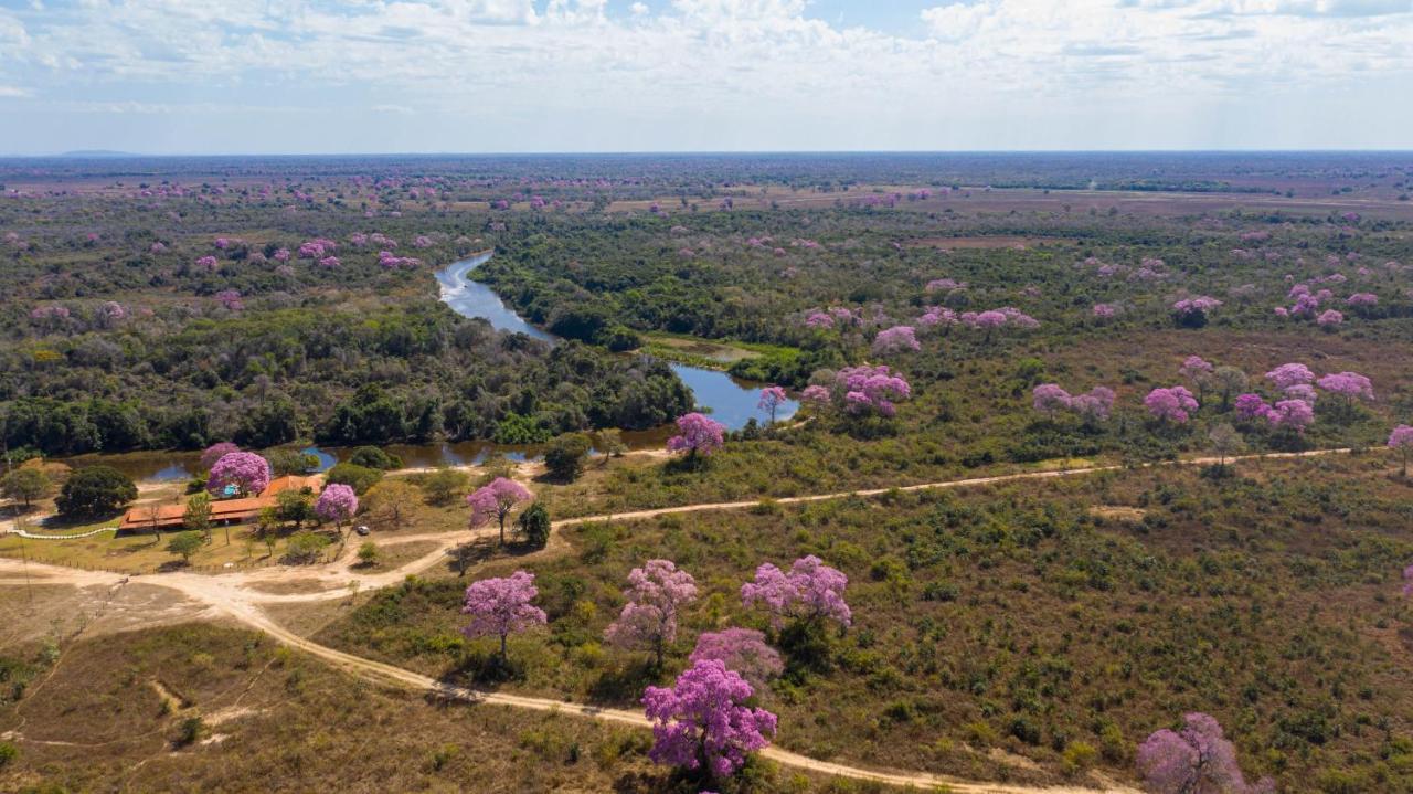 Southwild Pantanal Lodge Pixaim Esterno foto
