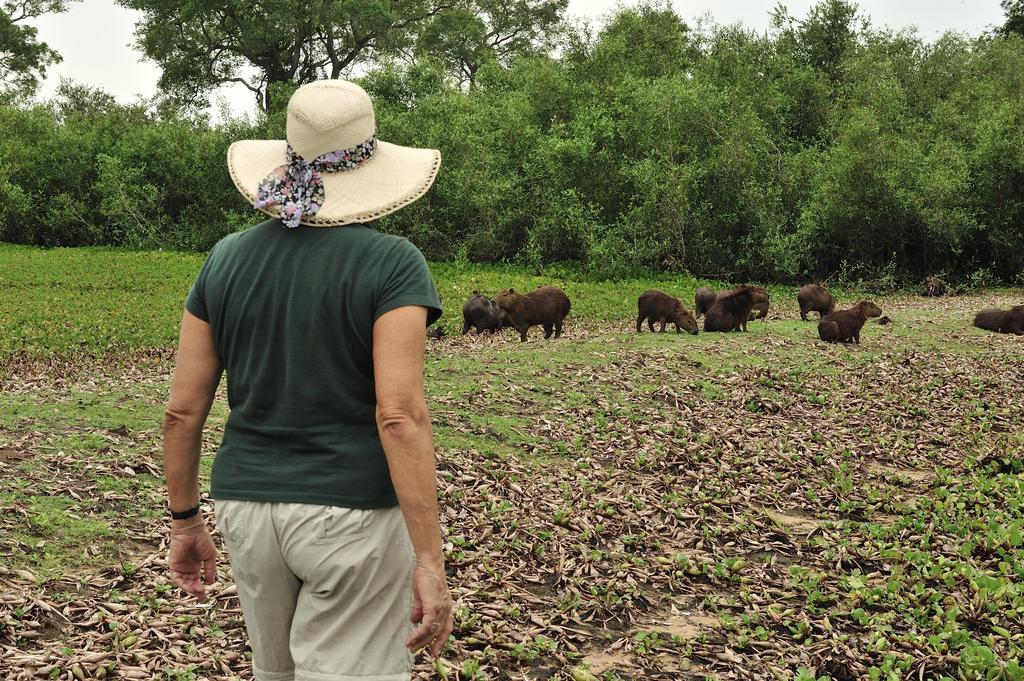 Southwild Pantanal Lodge Pixaim Esterno foto