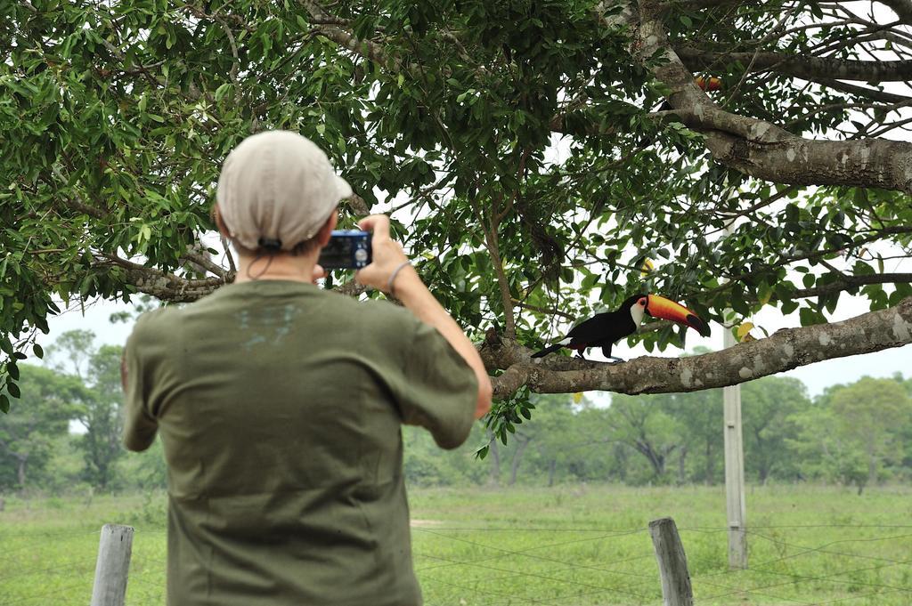 Southwild Pantanal Lodge Pixaim Esterno foto