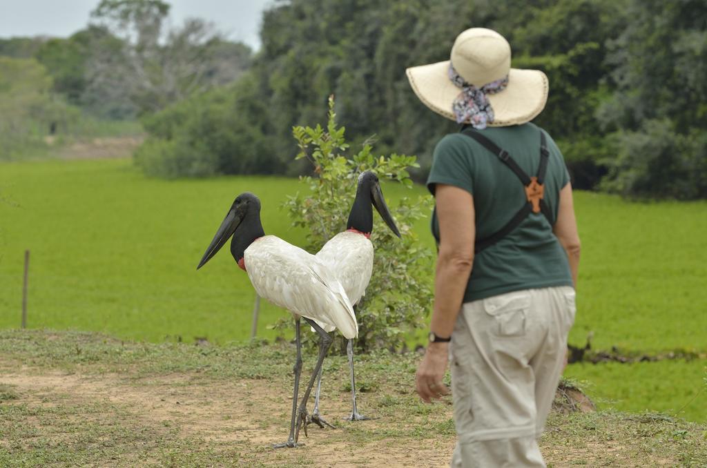 Southwild Pantanal Lodge Pixaim Esterno foto