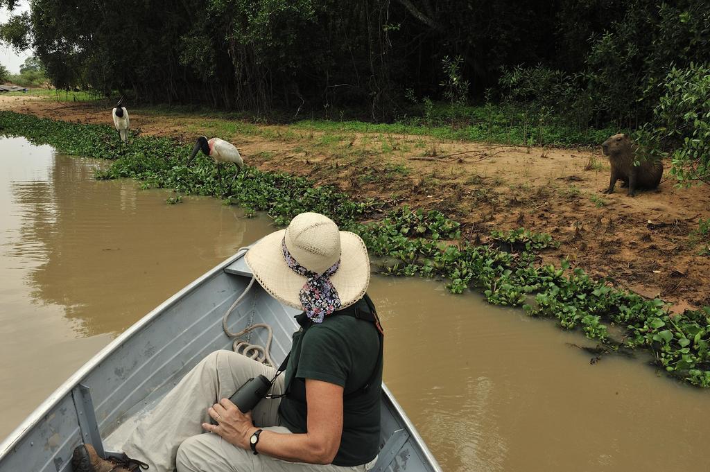 Southwild Pantanal Lodge Pixaim Esterno foto