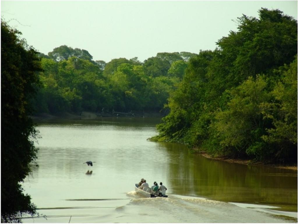 Southwild Pantanal Lodge Pixaim Esterno foto